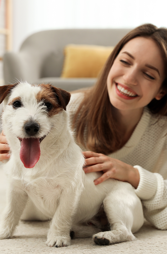 Animaltia - pet-sitting à Angers